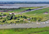 Hafen/Marina Pinnau (Deutschland/Elbe)