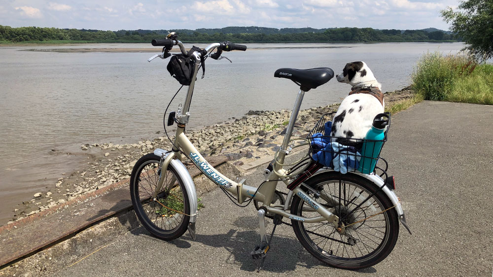 blauwasser_marina_deutschland_elbe_rueschkanal_fahrrad