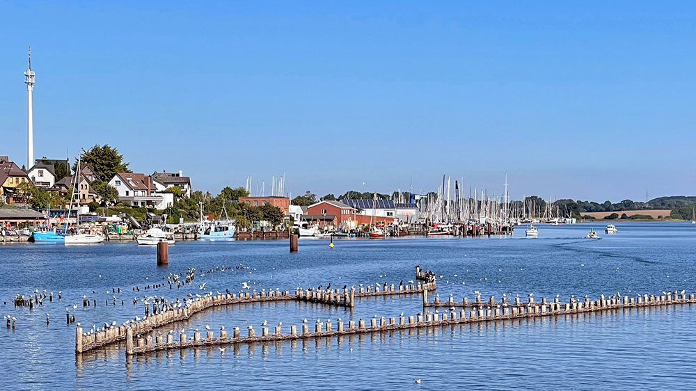 blauwasser_marina_deutschland_schlei_kappeln_heringszaun