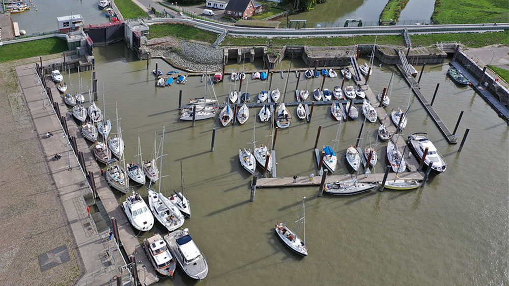 blauwasser_marina_elbe_glueckstadt_vogel