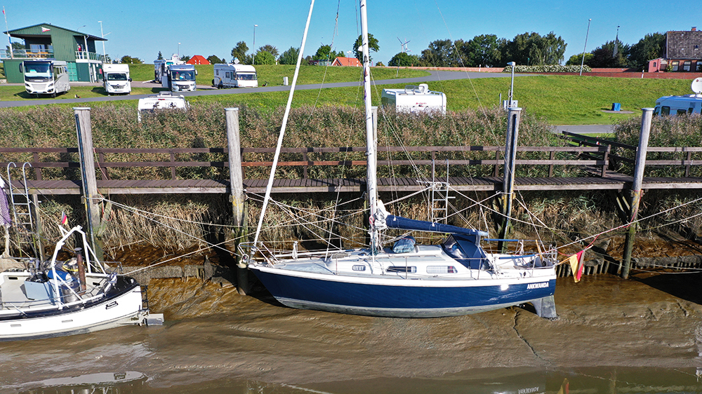 blauwasser_marina_elbe_neufeld_hinterm_schilf