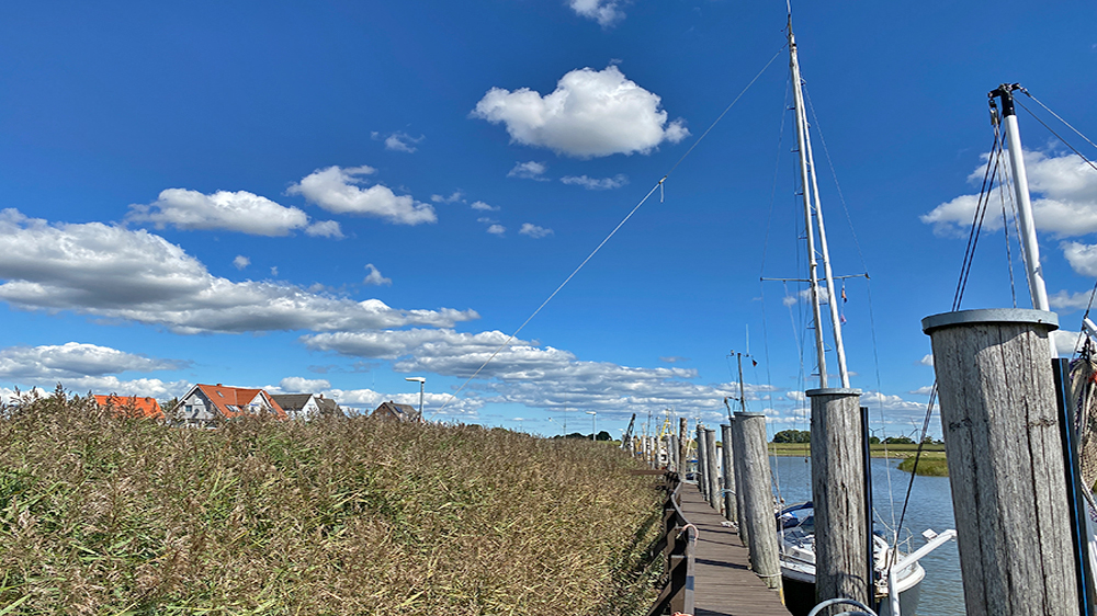 blauwasser_marina_elbe_neufeld_mast