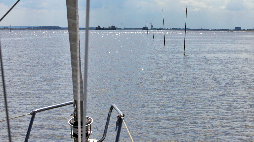 blauwasser_marina_elbe_neufeld_prickenreihe