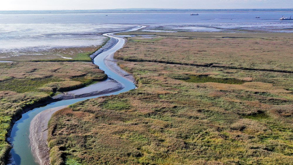 blauwasser_marina_elbe_neufeld_priel