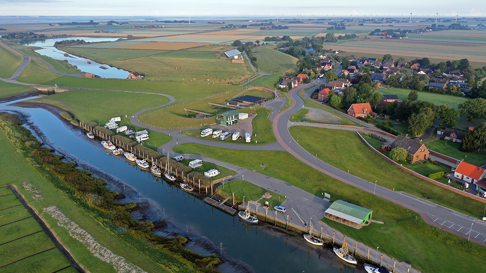 blauwasser_marina_elbe_neufeld_schilf
