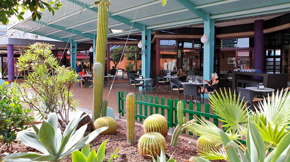 blauwasser_marina_kanaren_gran_canaria_las_palmas_yachtclub_bar