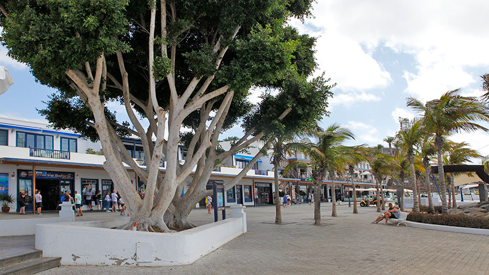 blauwasser_marina_kanaren_lanzarote_puerto_calero_vorfeld