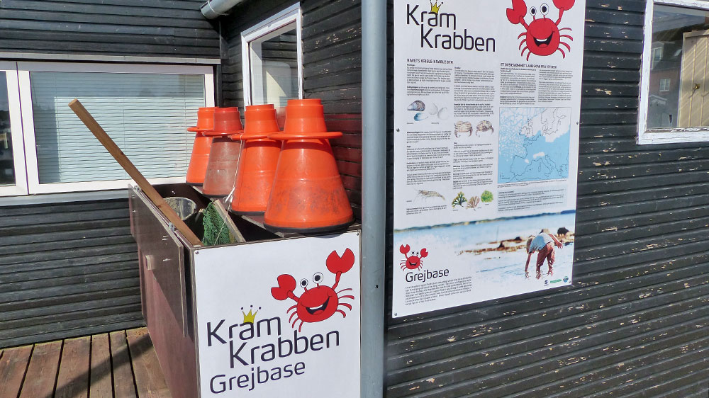 blauwasser_marina_lohals_krabben