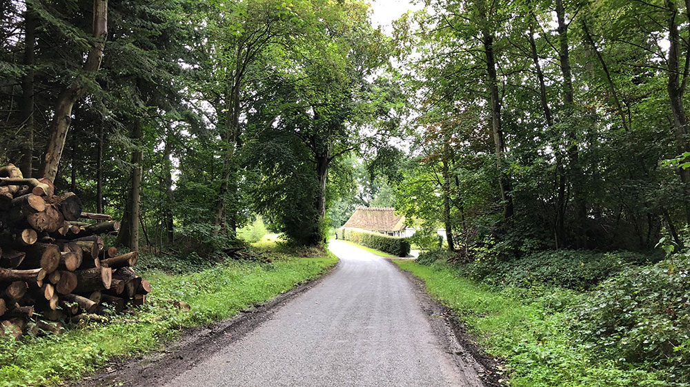blauwasser_marina_lundeborg_wald1