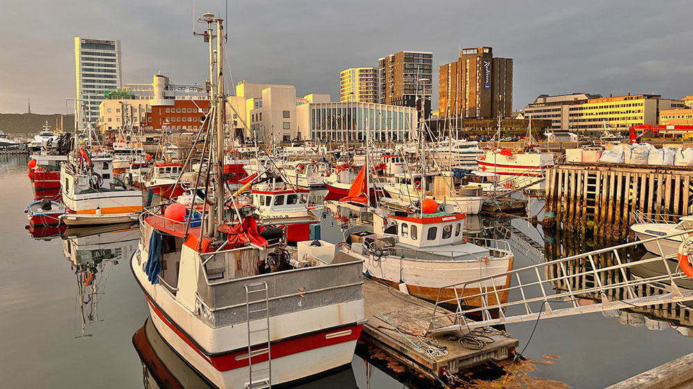 blauwasser_marina_norwegen_lofoten_bodoe_zentrum