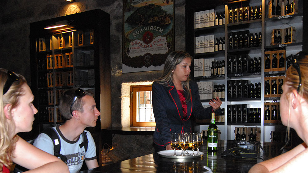 blauwasser_marina_porto_weinprobe
