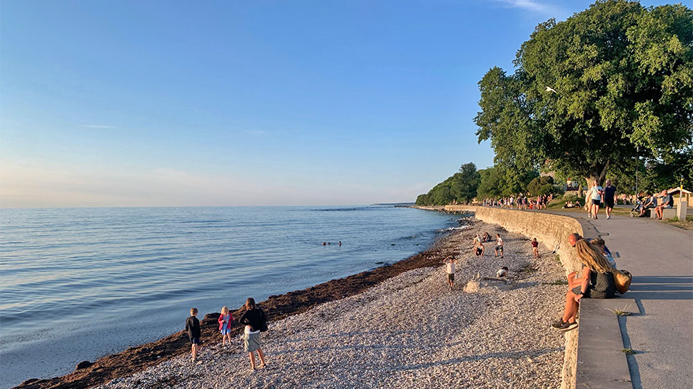 blauwasser_marina_schweden_gotland_visby_abendsonne