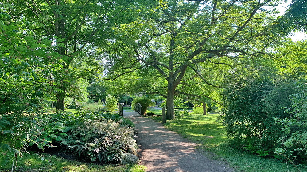 blauwasser_marina_schweden_gotland_visby_botanischer_garten