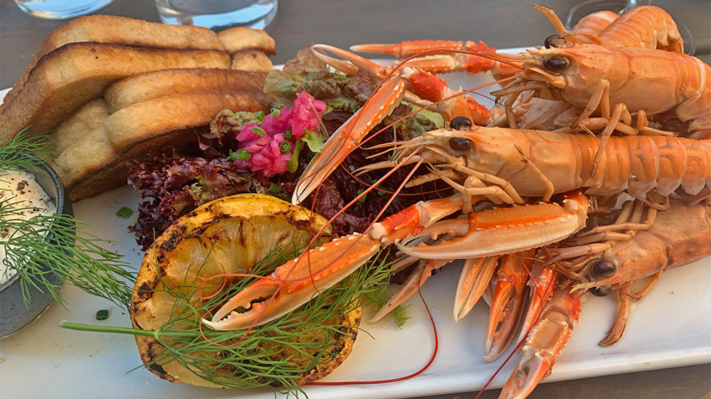 blauwasser_marina_schweden_gotland_visby_fischgerichte