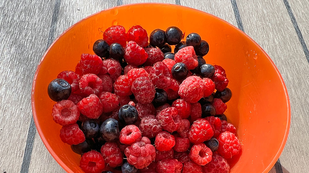 blauwasser_marina_schweden_maelaren_ringsoe_beeren
