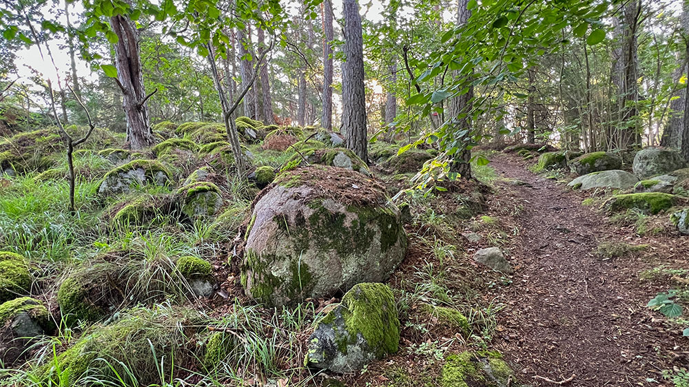 blauwasser_marina_schweden_ostkueste_norrviken_feuerholz