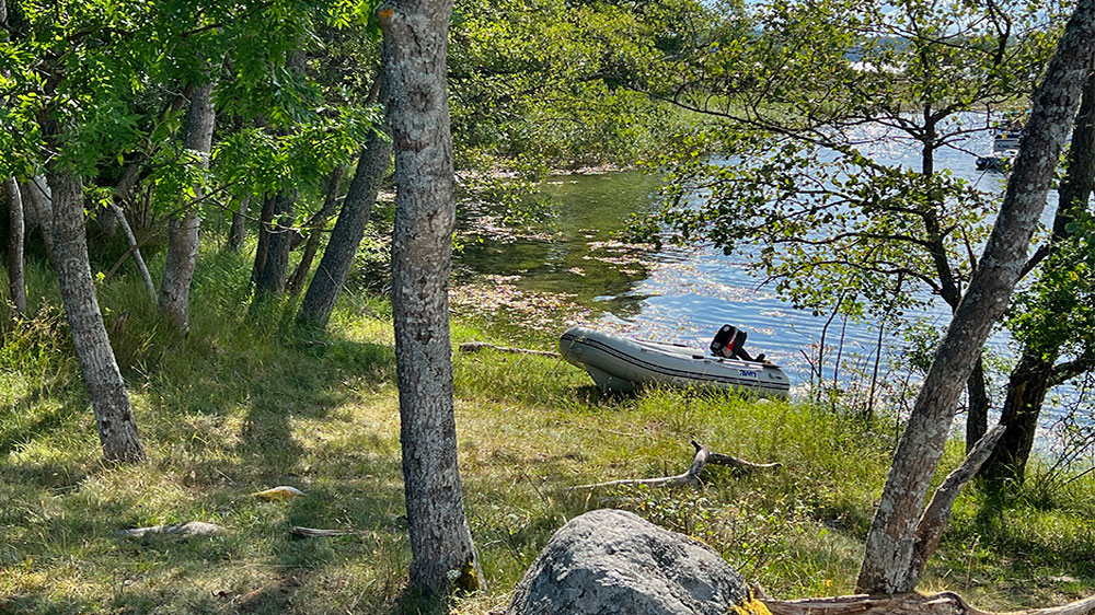 blauwasser_marina_schweden_ostschaeren_aegnoe_natur
