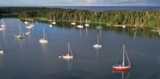 Naturhafen Ringsön (Schweden)
