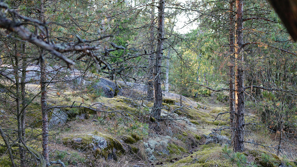 blauwasser_marina_schweden_ostschaeren_traessoe_trampelpfade