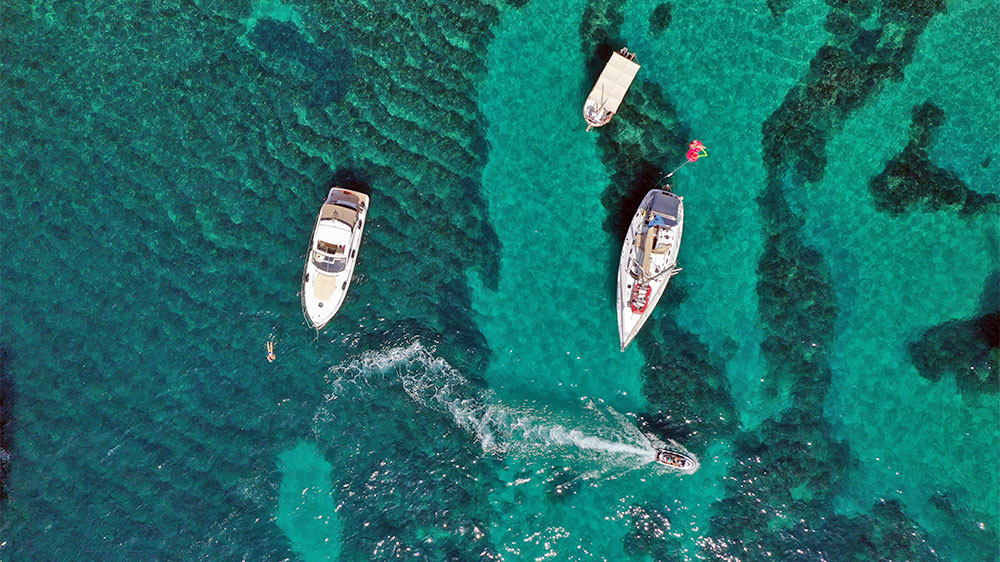 blauwasser_marina_spanien_balearen_cala_blanca_posidonia