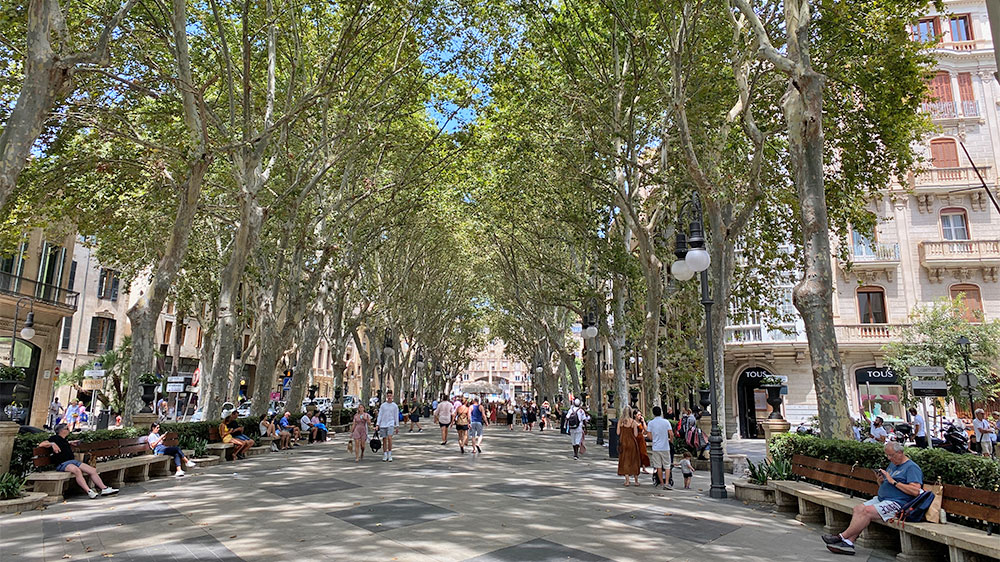 blauwasser_marina_spanien_balearen_la_lonja_sehenswert