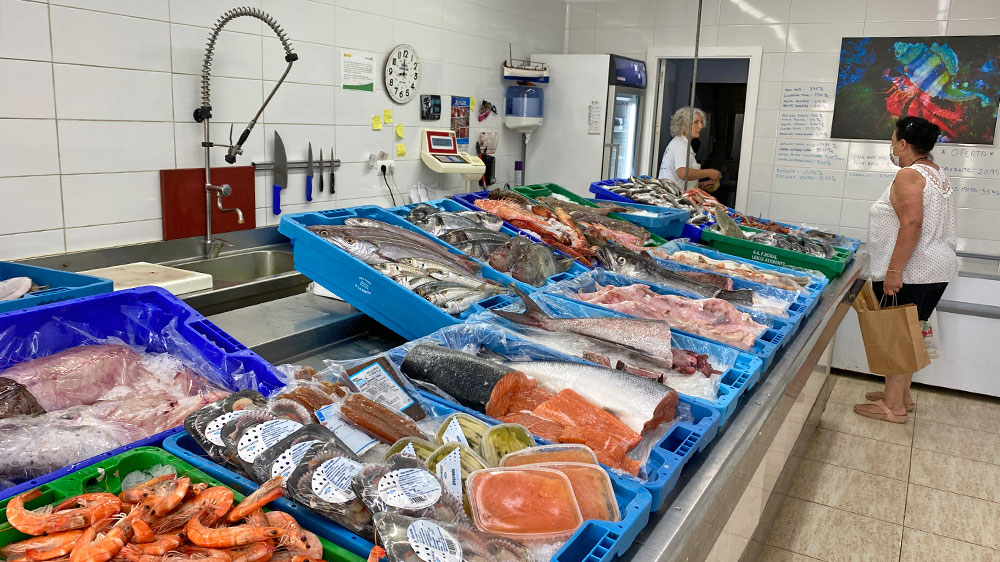 blauwasser_marina_spanien_balearen_sant_antoni_de_portmany_fischladen