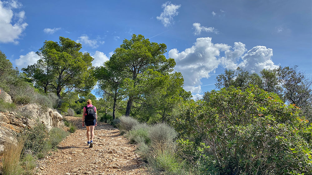 blauwasser_marina_spanien_balearen_sant_elm_wanderwege