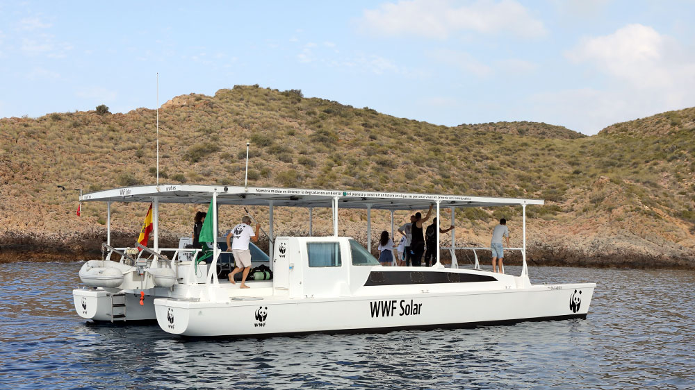 blauwasser_marina_spanien_suedkueste_cala_cerrada_boote