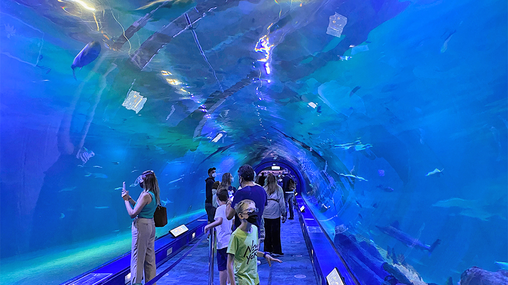 blauwasser_marina_spanien_suedkueste_valencia_aquarium
