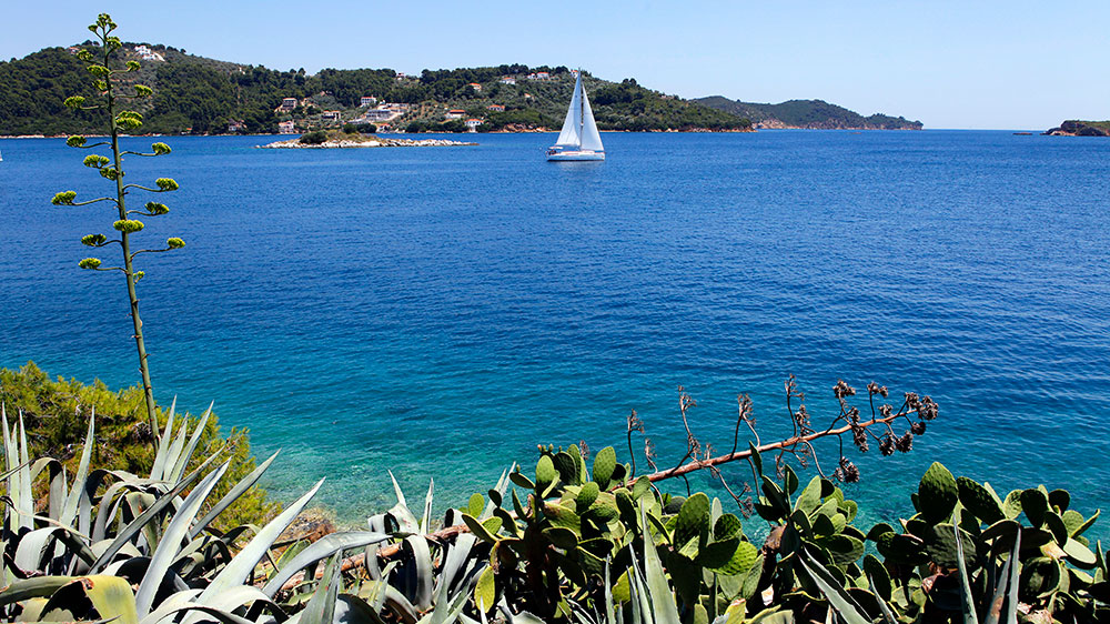 blauwasser_marke_sail_aegean_2
