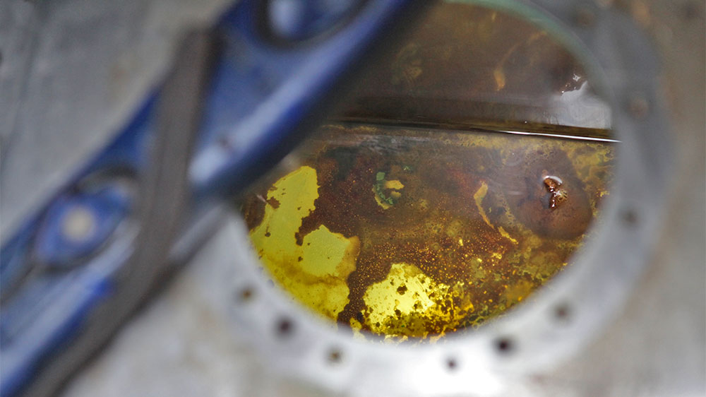 blauwasser_motor_kraftstoffe_diesel_dieselpest