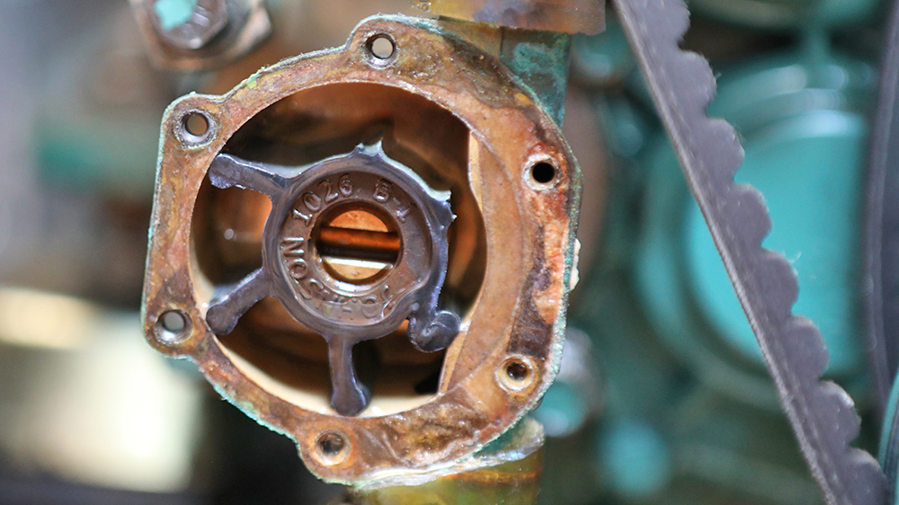 blauwasser_motor_seewasserpumpe_impellerwechsel_flunken_ab