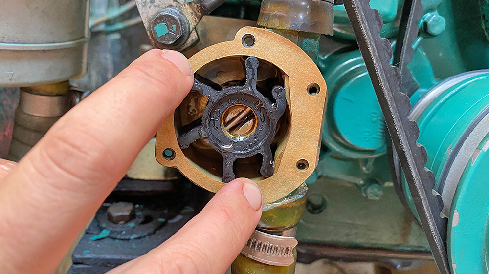 blauwasser_motor_seewasserpumpe_impellerwechsel_papierdichtung_einbau