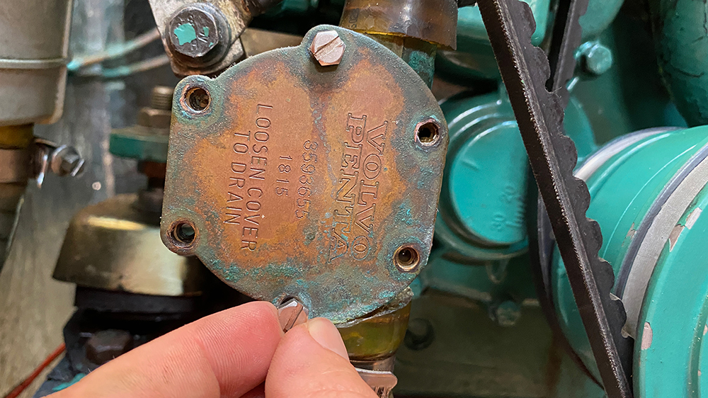 blauwasser_motor_seewasserpumpe_impellerwechsel_schrauben_einbau