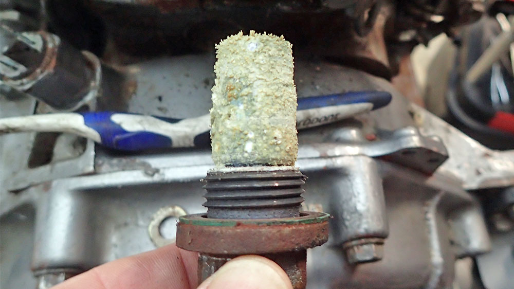 blauwasser_motor_wartung_kuehlung_einkreis_anode