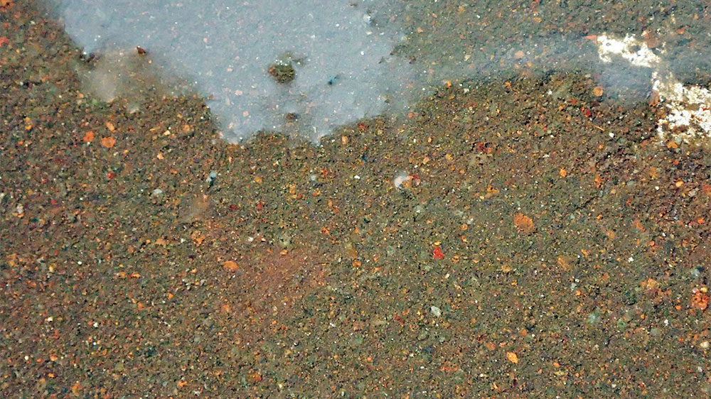 blauwasser_motor_wartung_kuehlung_einkreis_sediment