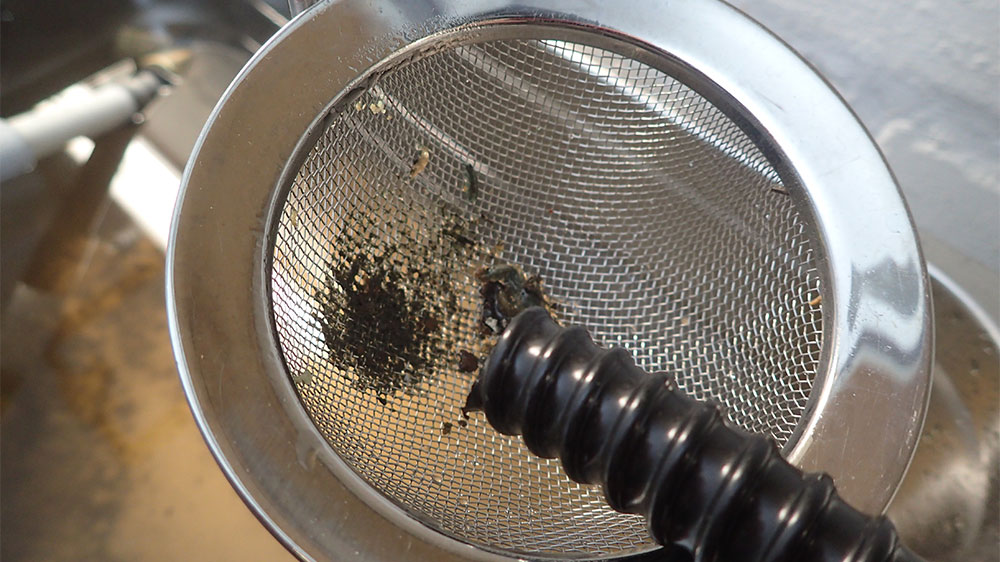 blauwasser_motor_wartung_kuehlung_einkreis_sieb