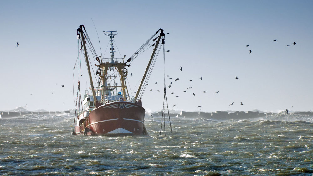 blauwasser_navigation_niederlande_gezeiten_watt_kabbelwasser