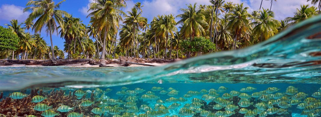 blauwasser_noerdliche_tuamotus_revierinformation_header