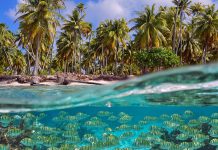 Revierinformation: Mit der Yacht durch die nördlichen Tuamotus