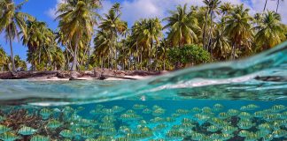 Revierinformation: Mit der Yacht durch die nördlichen Tuamotus