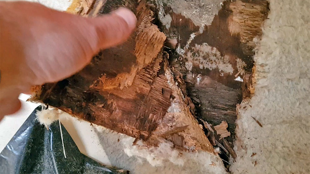 blauwasser_praxiswissen_yacht_ueberwintern_holz