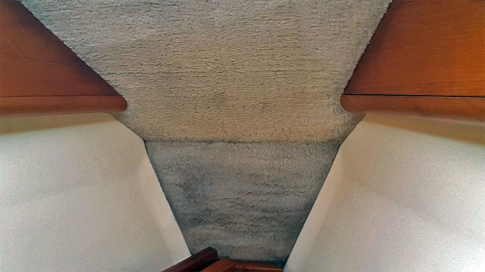 blauwasser_praxiswissen_yacht_ueberwintern_schimmel