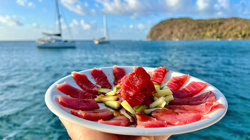 blauwasser_revier_karibik_grenadinen_segeln_sashimi