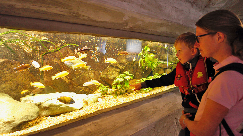 blauwasser_revier_schweden_goeta-kanal_kinder_aquarium