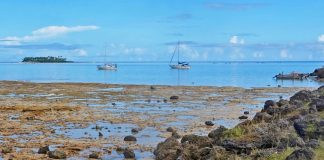 Revierbericht Tonga: Das Südsee-Kleinod Niuatoputapu