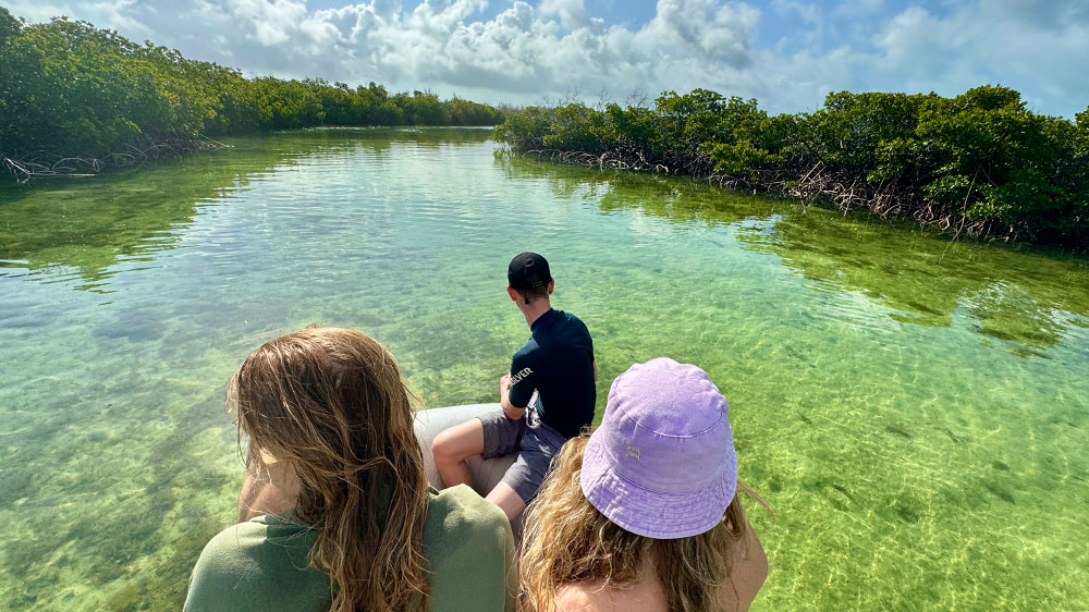 blauwasser_revierinformation_bahamas_abacos_inseln_mangroven