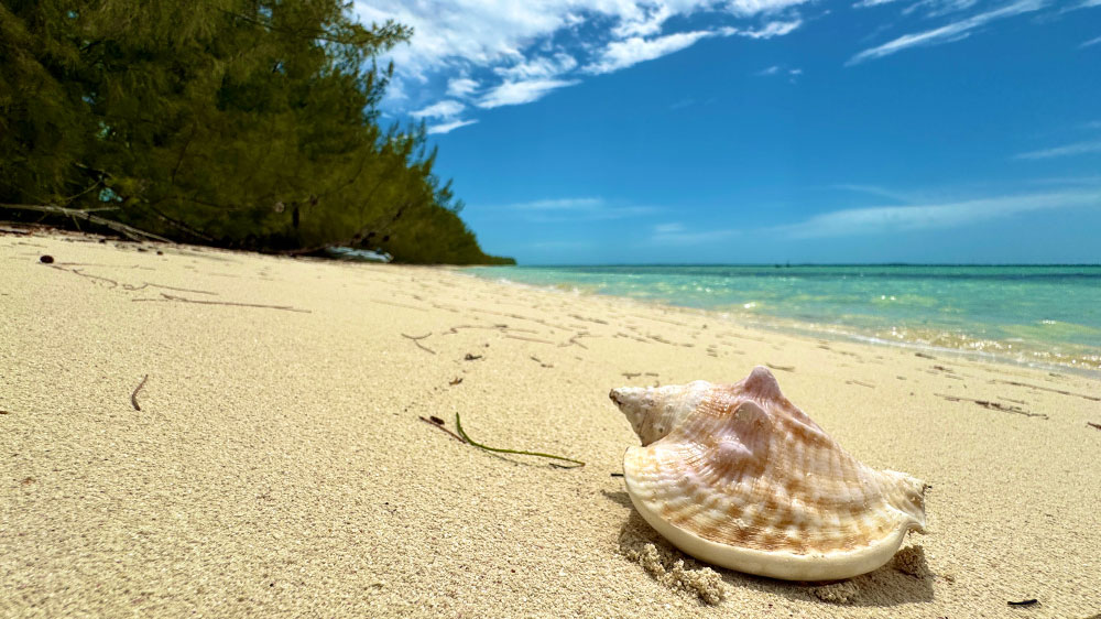 blauwasser_revierinformation_bahamas_abacos_inseln_revier