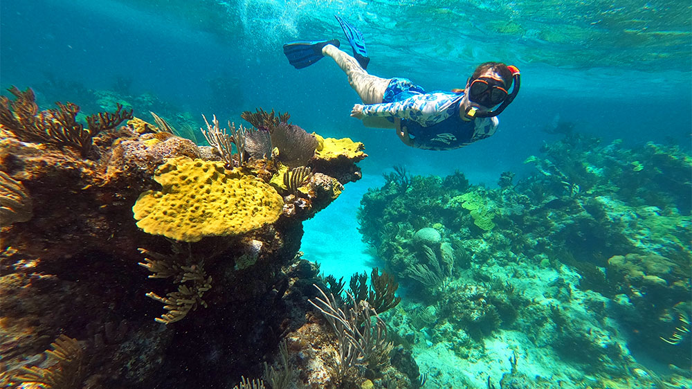 blauwasser_revierinformation_bahamas_abacos_inseln_schnorcheln