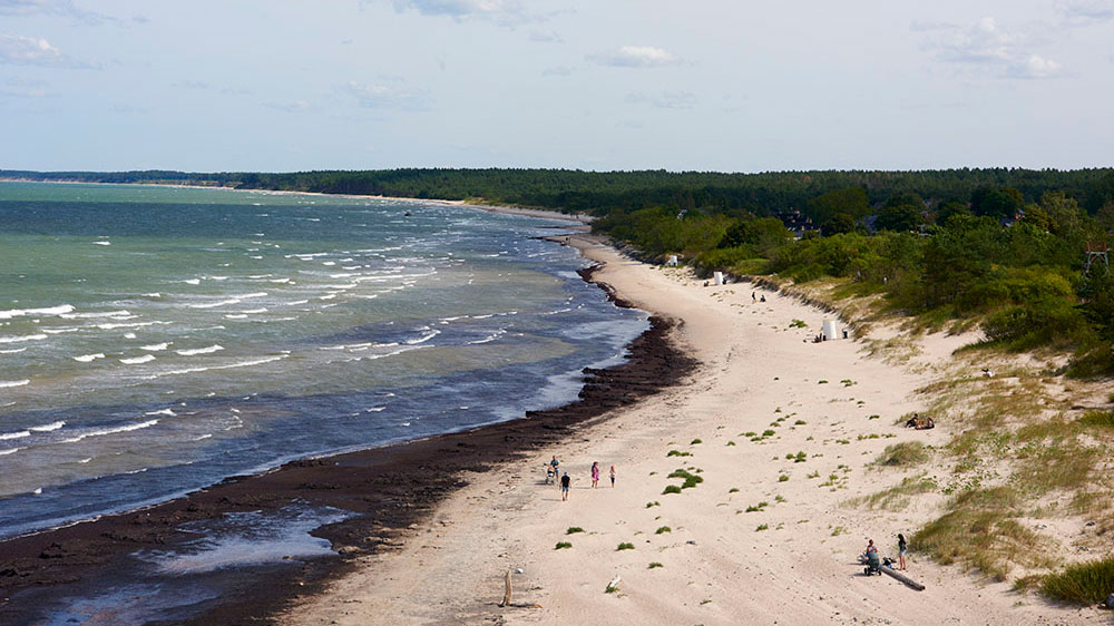 blauwasser_revierinformation_baltikum_lettland_kueste_bei_pavilosta